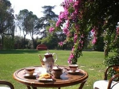 کاسال بلادنا