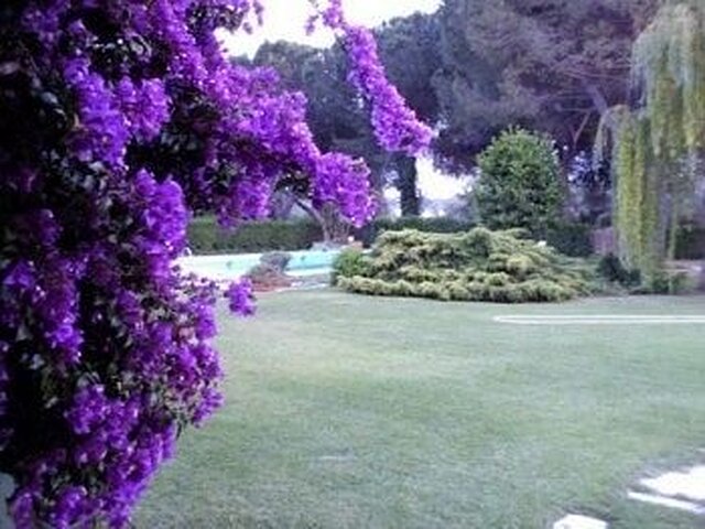 کاسال بلادنا