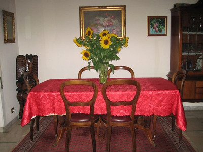 نرمارببای