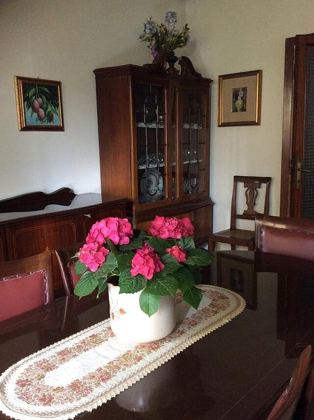 نرمارببای