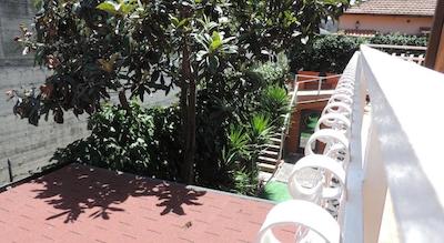 کمپانیل سویتز