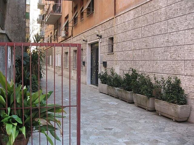 اسپیدیبد