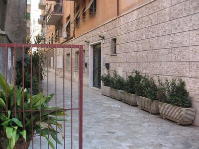 اسپیدیبد