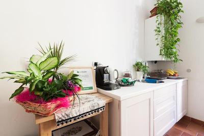 دموز کویریتوم