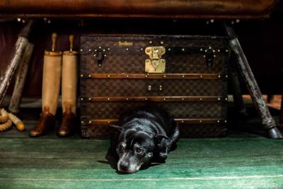 د یارد سویت اند دپندانس