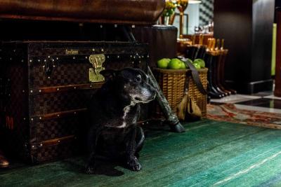 د یارد سویت اند دپندانس