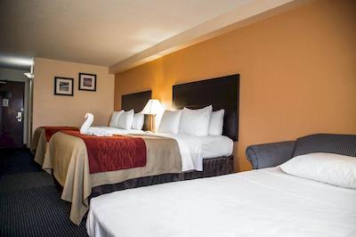 کاترینا ا سان پیترو