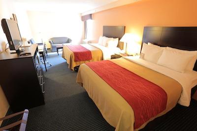 کاترینا ا سان پیترو