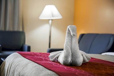 کاترینا ا سان پیترو