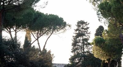 دموز امر کلسئو