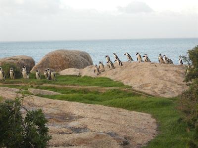 مارینر گوست هوس