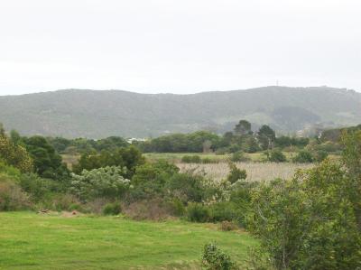 لاوندر هیل گوست هوس