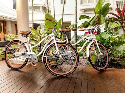 د ریف هوس پالم کو-مگالری بای سُفیتل