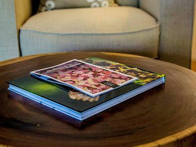 د ریف هوس پالم کو-مگالری بای سُفیتل