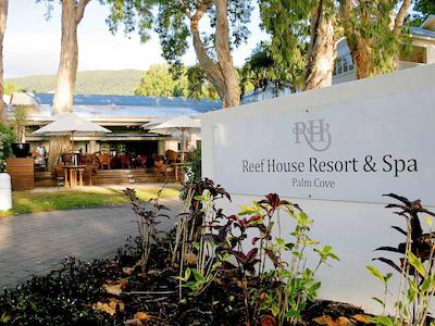 د ریف هوس پالم کو-مگالری بای سُفیتل