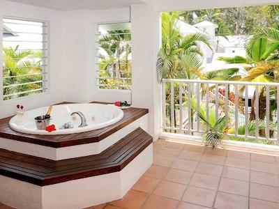 د ریف هوس پالم کو-مگالری بای سُفیتل