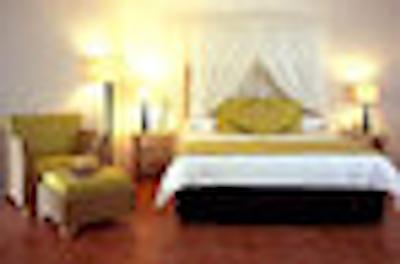 د ریف هوس پالم کو-مگالری بای سُفیتل