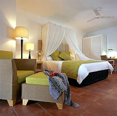 د ریف هوس پالم کو-مگالری بای سُفیتل