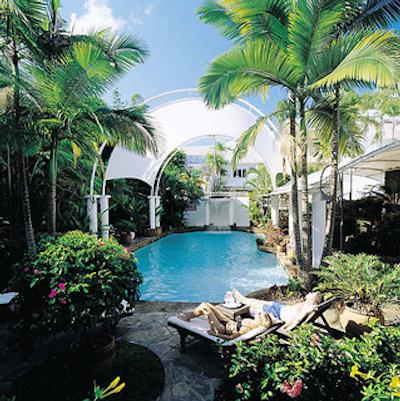 د ریف هوس پالم کو-مگالری بای سُفیتل