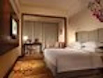 دیز هتل بیجینگ نیو اکسیبیشن سنتر