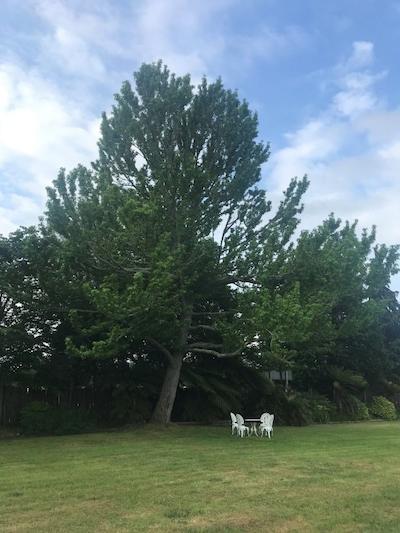 فیری اسپرینگز متل