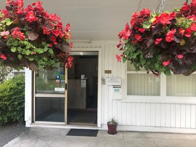 فیری اسپرینگز متل