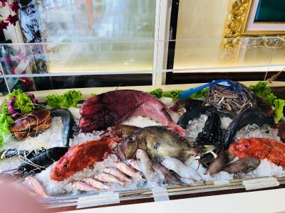 هتل نو ریتر