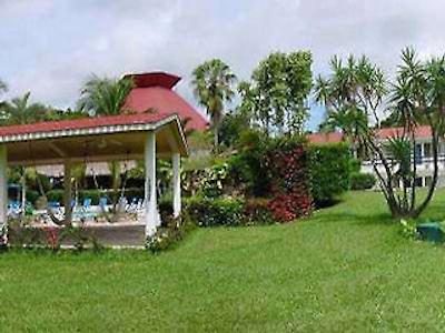 میسین پالنک