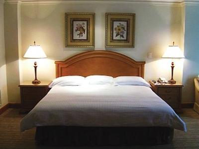 هیات رجنسی مریدا