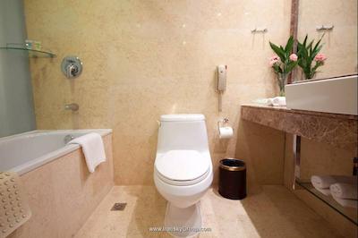 هوارد جانسون پاراگون هتل بیجینگ