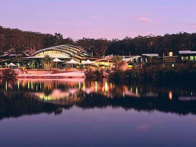 کینگفیشر ب ریزرت