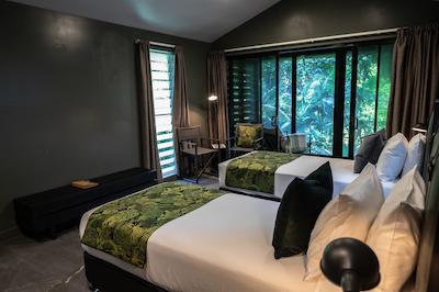 دینتری اکلج