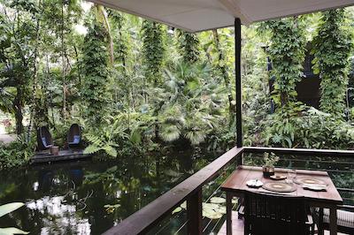 دینتری اکلج