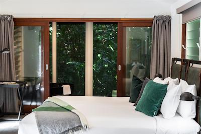 دینتری اکلج