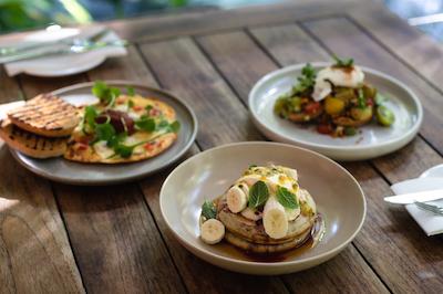 دینتری اکلج