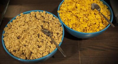 هتل ایرن هرس