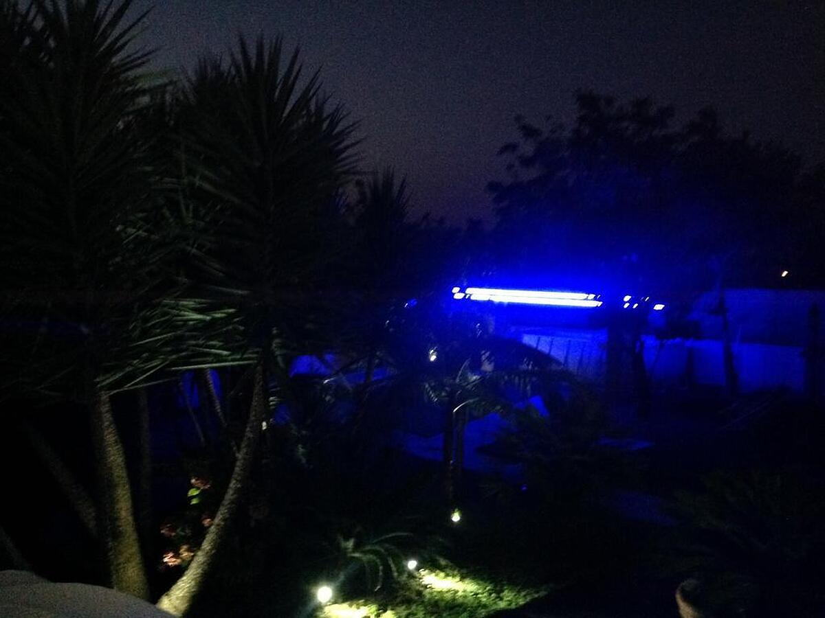 دموز اکوانا