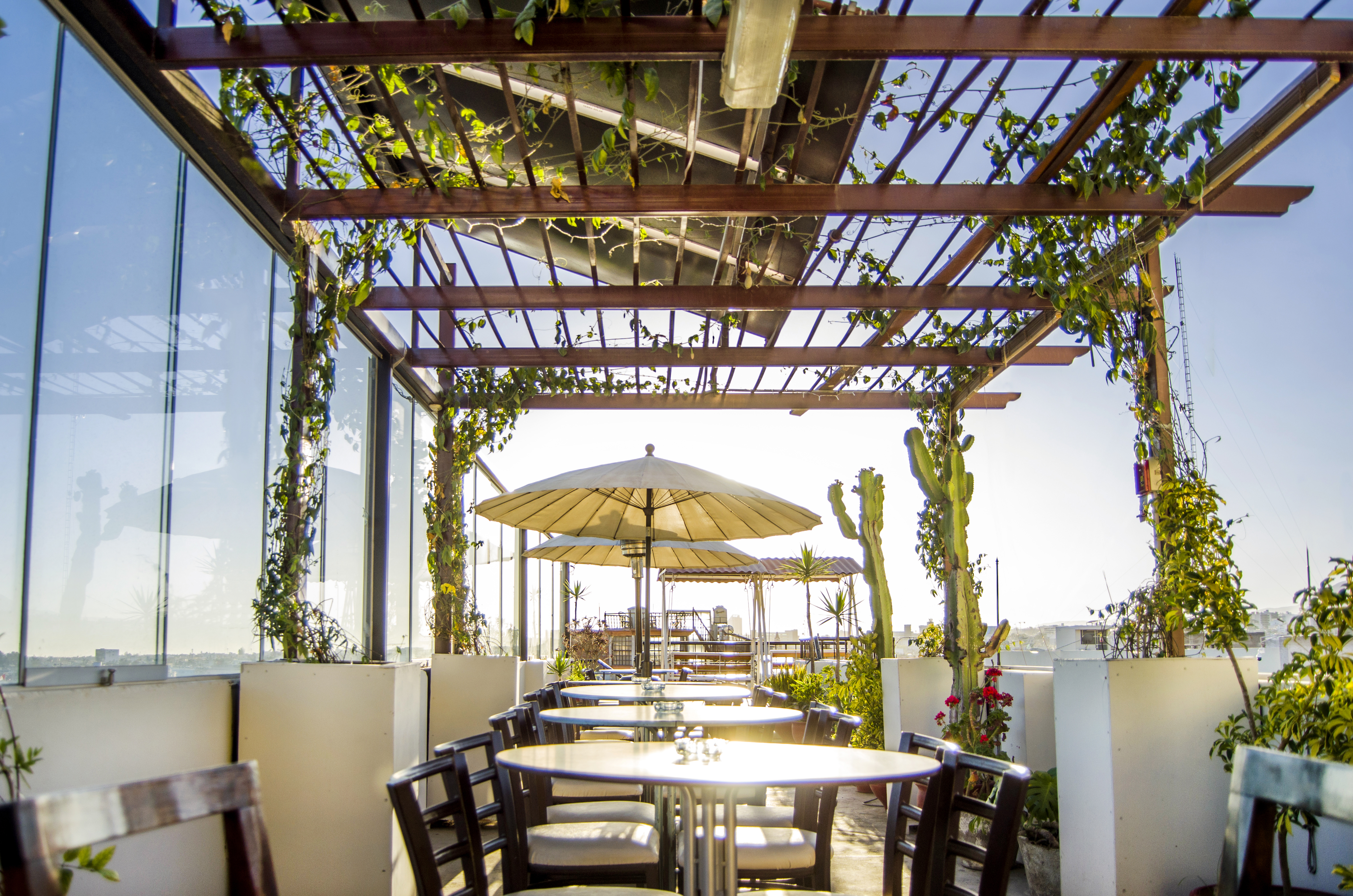 هستال ل فیر