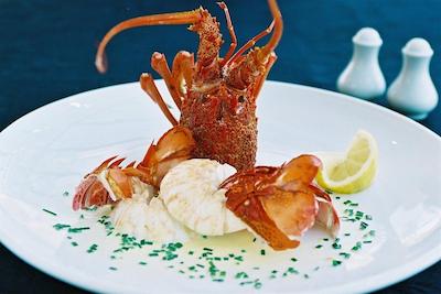 رودرفرد نلسُن