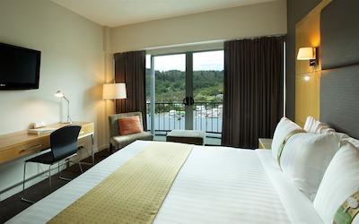 هلید این رتروا