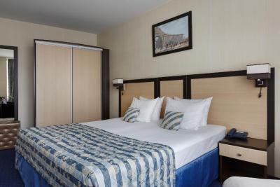 استاتسکیج سوتنیک