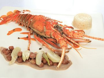 نووتل پیس