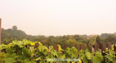 کینگ پارک ویو