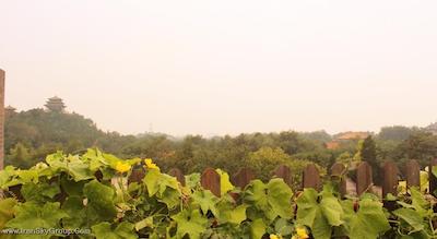 کینگ پارک ویو