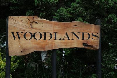 وودلاندز متل اند کنفرنس ونو