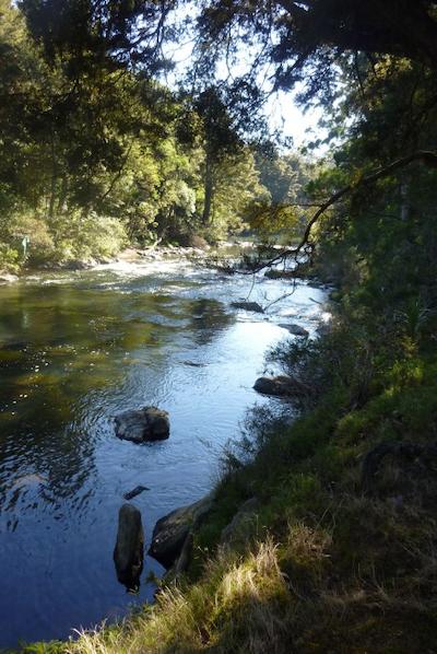 وودلاندز متل اند کنفرنس ونو