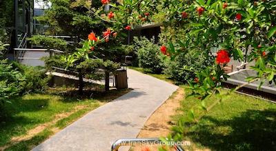 دیز این فوربیدن سیتی بیجینگ