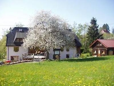 داز لاندهاوز