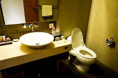 ادهی جا سانست هتل