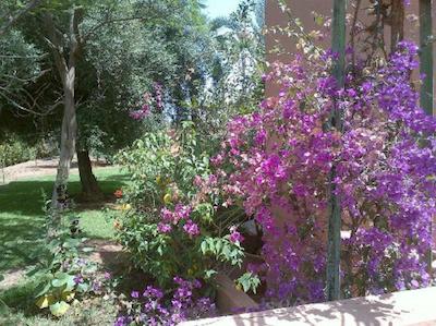 این کلوب پالمری ریزرتز